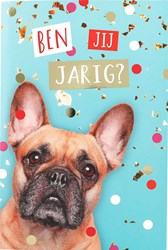 Depesche birthday book toy - cheerful gift for children
