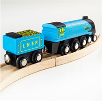 Bigjigs mallard discount