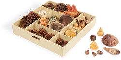 Guidecraft educational toy Nature's Geometry Loose Parts STEM Kit