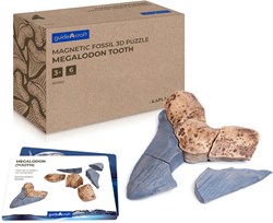 Guidecraft magnetic toy fossils 3D puzzle Megalodon tooth
