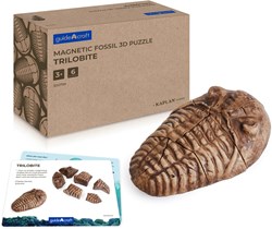 Guidecraft magnetic fossil 3D puzzle trilobite toy