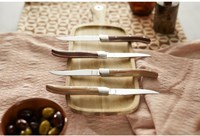 Amefa steak knives Royal Steak 4-piece set - Natural Wood design-3