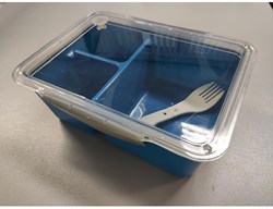 Lunchbox kunststof met vork 20x15x7cm
