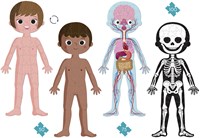 Janod educational puzzle - human body - 4-in-1 giant puzzles