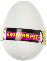 DinoWorld Dinosaur Growing Egg Toy Surprise 6cm