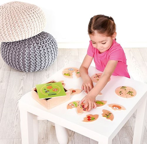 Beleduc Nawito nature evolution wooden educational toy for kids