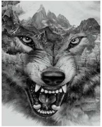 Twisk diamond painting wolf artwork 30x40 cm animal craft