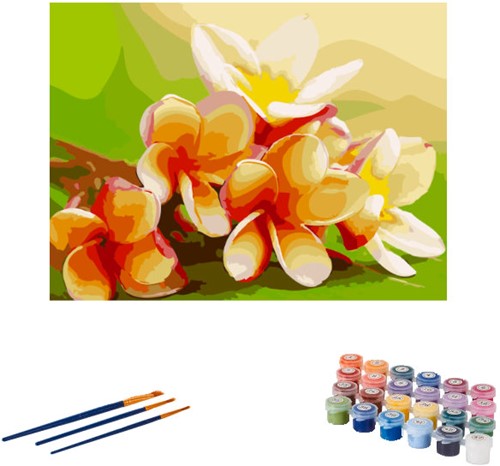 Painting by number flower PNB5166