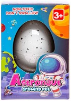 Groeiend Ei Astronaut