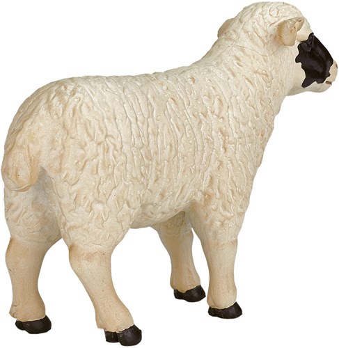 Mojo Farm toy Black Head Sheep (Ewe) - 387058-3