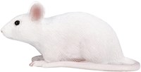 Mojo Pets toy Mouse - 387235-2