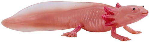 Mojo Wildlife Axolotl 381108-2