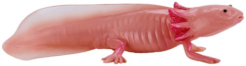 Mojo Wildlife Axolotl 381108-3