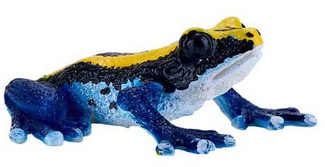 Mojo Wildlife Pijlgifkikker Blauw - 381069-3