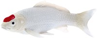 Mojo Sealife Koi Karper - Tancho Koi  - 381101