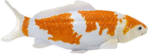 Mojo Sealife Koi Karper - Ochiba Shigure Koi - 381104-2