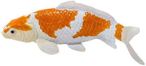 Mojo Sealife Koi Karper - Ochiba Shigure Koi - 381104-3