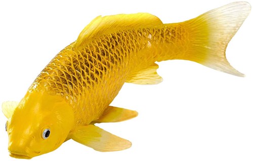 Mojo Sealife Koi Karper - Kin Matsuba Koi - 381105-2