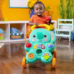 Bright Starts walker 2-in-1 Ball Toy - Stroll n Roll