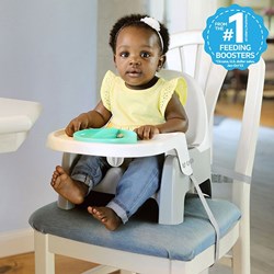 Deluxe Learn-to-Dine Feeding Seat