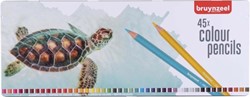 Bruynzeel 45 colored pencil in a can Schildp.5011M45