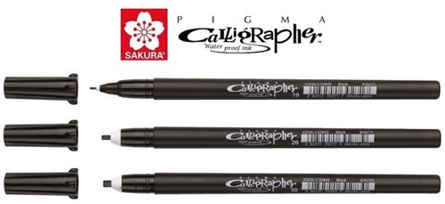 Sakura Sakura calligraphy set of 3 pens in case