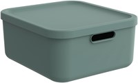 Rotho storage box decoration Albula Light 20 L stackable green