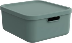 Rotho storage box decoration Albula Light 20 L stackable green