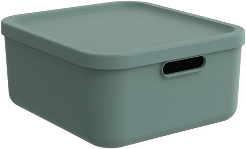 Rotho storage box decoration Albula Light 20 L stackable green