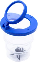 Eduplay magnifying glass toy Pull-out Box blue - discovery tool