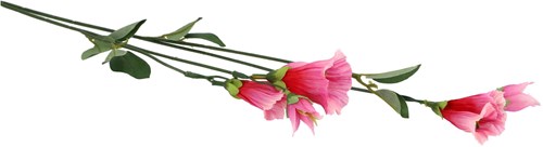 Artificial flower Campanula light pink silk 60 cm decorative flower-3