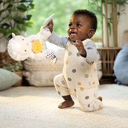 Ingenuity plush toy Calm Springs Activity Pal Sheppy baby gift