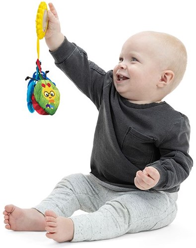 Baby Einstein sensory toy buggy - Touch of Nature - multicolor