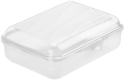 Rotho lunch box transparent 1.25L BPA free leakproof dishwasher safe