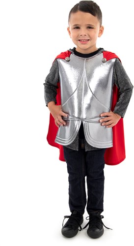Little Adventures knight costume for kids Royal Knight 3-5 years