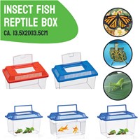 Insect box with lid - Transparent plastic insect container 1.8 liters-2