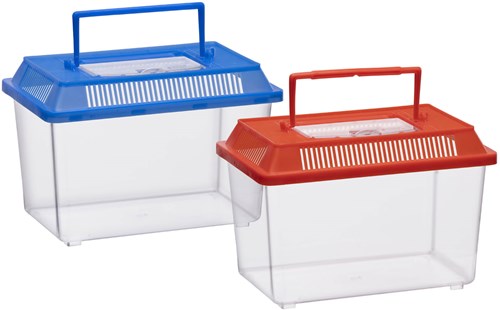 Insect box with lid - Transparent plastic insect container 1.8 liters-3