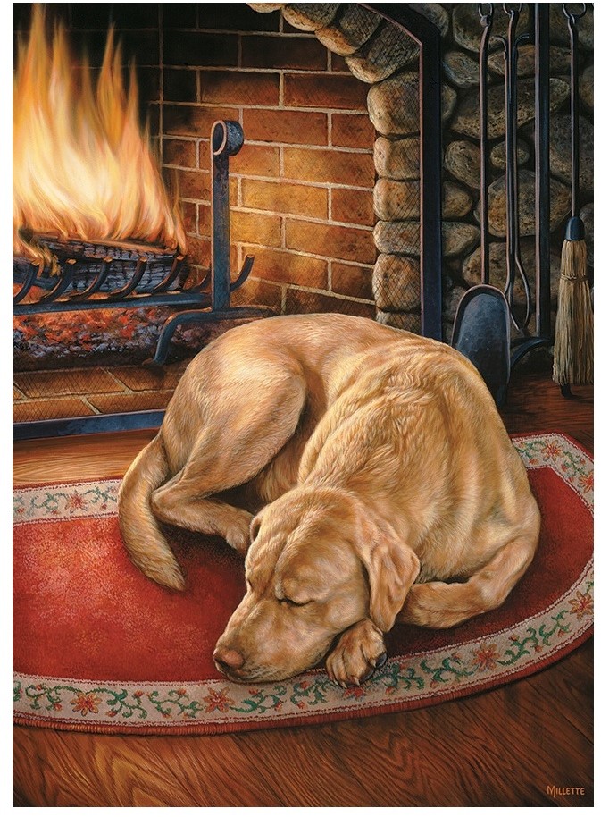 Cobble Hill puzzle 1000 pieces - Home is where the Dog is.