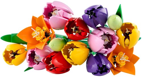LEGO Botanicals flower building set Tulip Bouquet decoration 11501-2