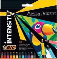 BIC felt tip pens Intensity luxury box 12 colors premium set