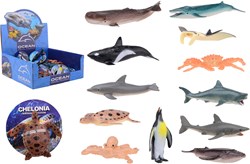 36 animal world sea animals in displ.26867