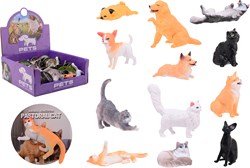 36 Animal World Pets in Disp.26870