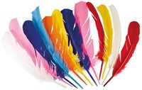 Boland - Indian feathers set - 12 pieces - colorful costume accessory-2