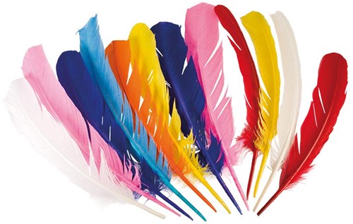 Boland - Indian feathers set - 12 pieces - colorful costume accessory-2
