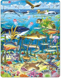 Jigsaw puzzle animals sea animals North Atlantic Ocean 60 pieces cardboard