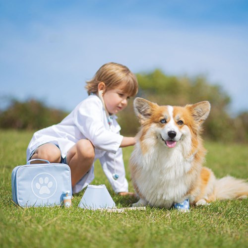 BigJigs veterinary toy set wooden pretend play for kids-3