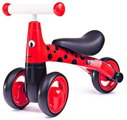 Didicar Diditrike Ladybird