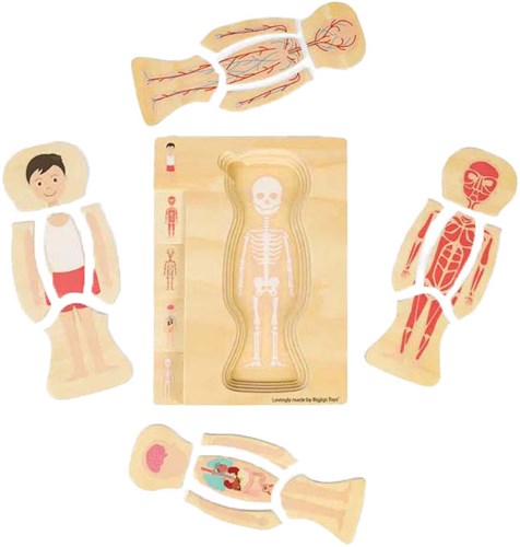 BigJigs wooden puzzle anatomy boy educational toy 26 pieces-2