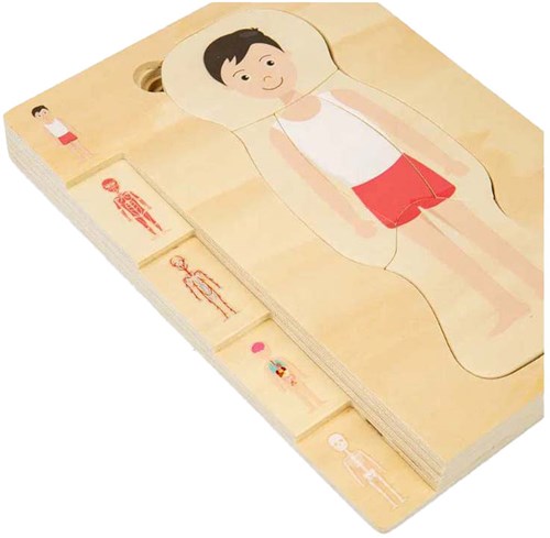 BigJigs wooden puzzle anatomy boy educational toy 26 pieces-3