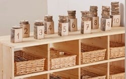 Cosy Counting Tree Rings - 30077